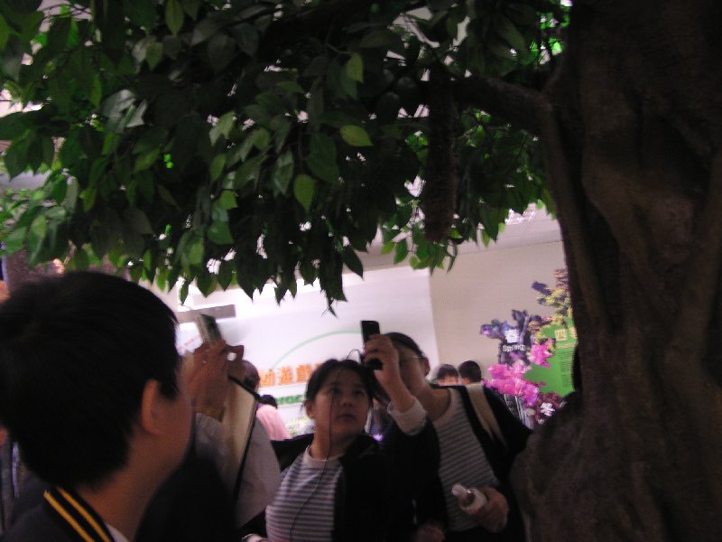 P1010285.JPG