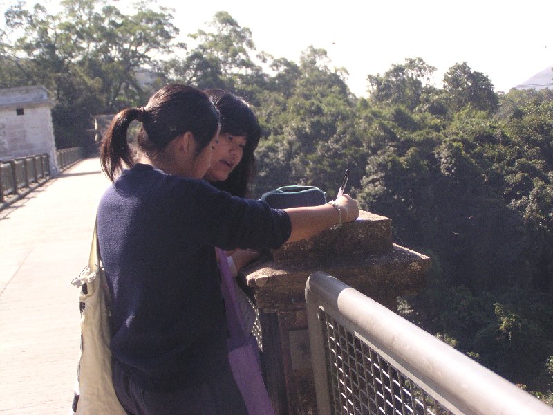 P1010306.JPG