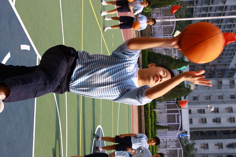 IMG_1255.jpg