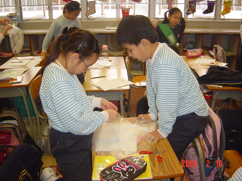 DSC03353.JPG
