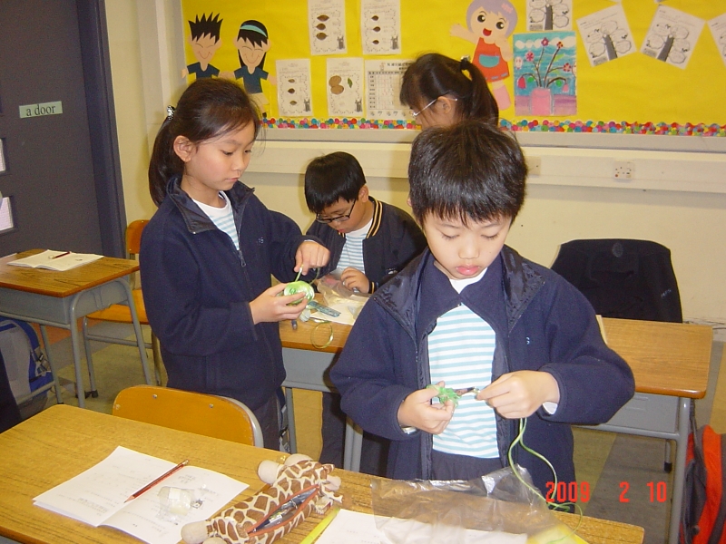 DSC03354.JPG