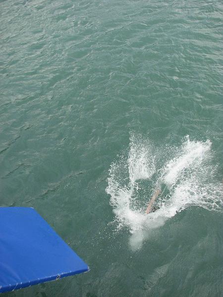 IMG_4041.JPG